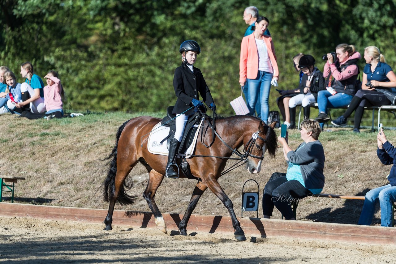 Bild 42 - Pony Akademie Turnier